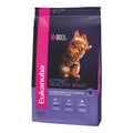 Alimento Eukanuba Gatito Cachorro Kitten